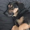 skubi_dubi_37