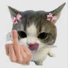 rawwwwwwwrrrr4