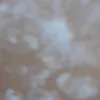 ewerob777