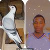 ibou.seck70