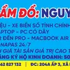 hotline098768297
