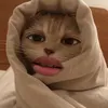 ohnastacia