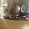 elias.p_3003