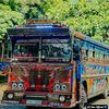 buspissii