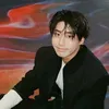 stray__0801178
