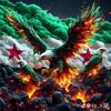 user84617318051126
