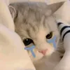 taisaophainhuvay_