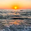 okak_976