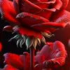 user71286087800505