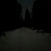 otdamneakaynt