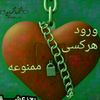 amir.taheri236