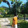 sedihkanjadinya