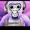 snowyvr213