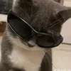 toninfc7