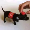 kitanoga0