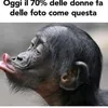 bartolo.simone6