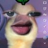 nrlaja5