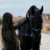 luna.e.ali24