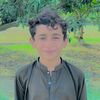user8031119760176