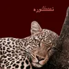 noor.dhyaa58