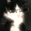 catloversbr_