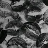 foteini012