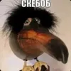 gubbylover12