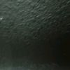 scenic.animations3