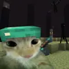 januszxfortd