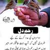 imran.sajan491