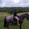 caixy542