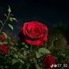 almother8