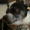 chiquiandfriends