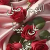 user1126183925129