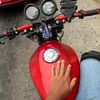 tocino3332
