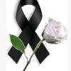 user86036900978128