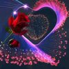 user48181527098615