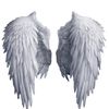angle101010188