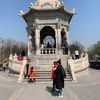 qin.yan40
