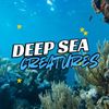 Deepsea Creatures