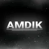 AMD1K