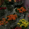 nguyenhaiduong2k2