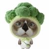 suwipa_014