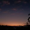 lily_566771872