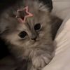 lulusummergirl