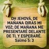 mairis.galindez