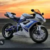 .lion85