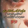 user61352627091833