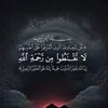 user7042197245954