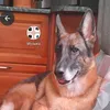 sasha2002q